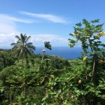 「ハワイアンビューティのすすめ」vol.3 Life with ALOHA