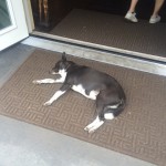 「ハワイアンビューティーのすすめ」vol.８　“Hawaiian Time”