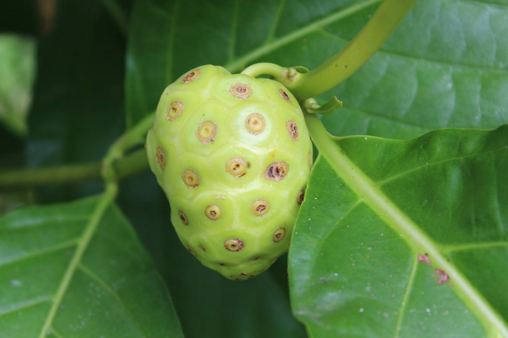 top
