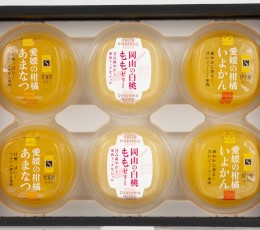 初夏のフルーツゼリー3種類_6個入り_R